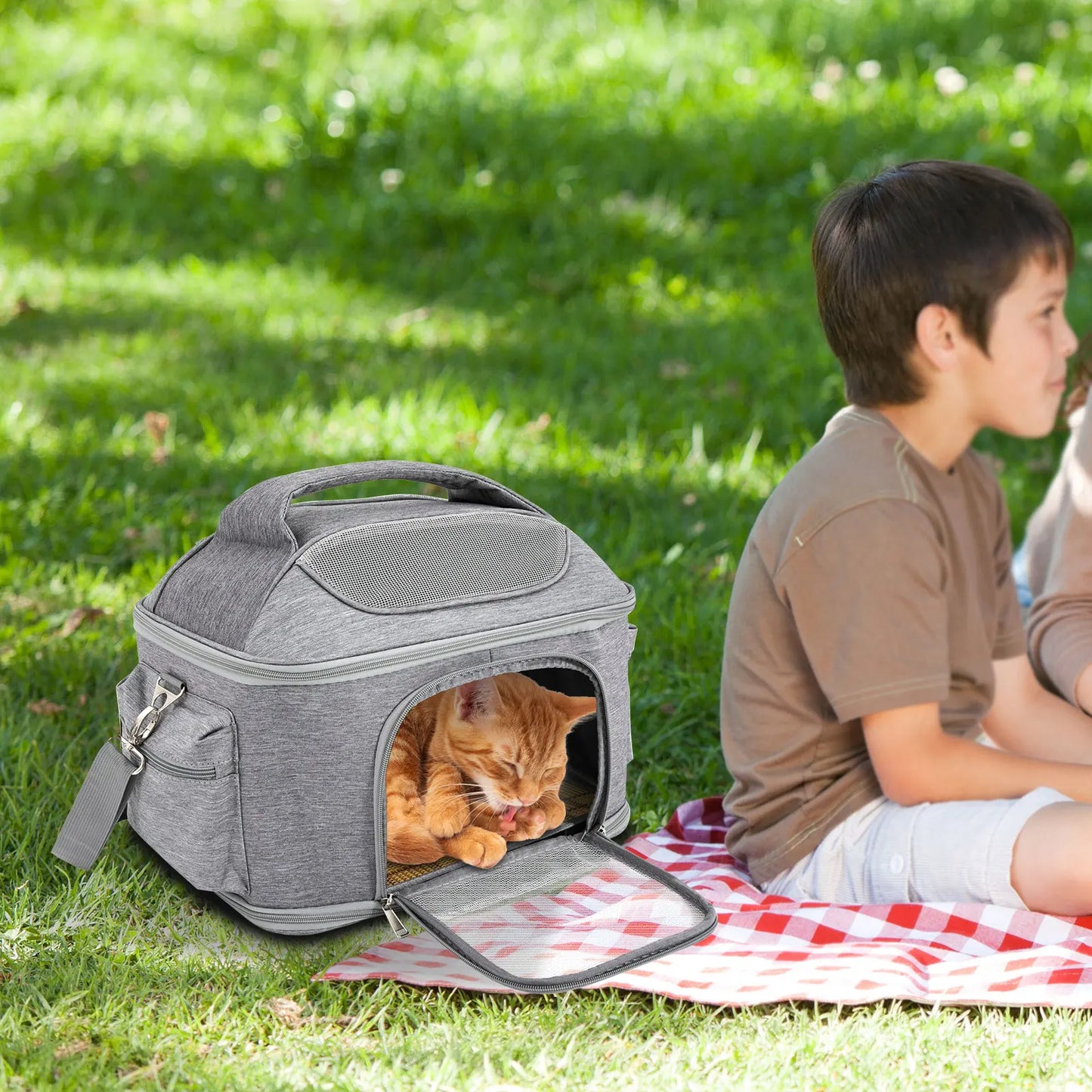 Breathable Portable Pet Backpack Foldable Tote For Dogs And Cats Travel Airlines Approved