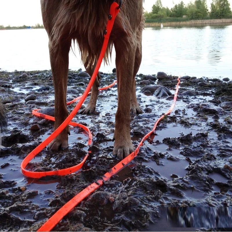 Waterproof PVC Dog Leash For All Breeds Easy To Clean Walking Training Lead With Durable Construction