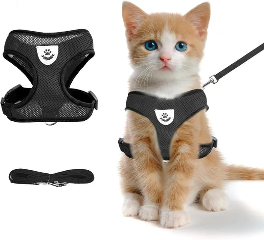 NONECN Cat Chest Harness and Leash Set Summer Mesh Anti Escape Adjustable for All Cats