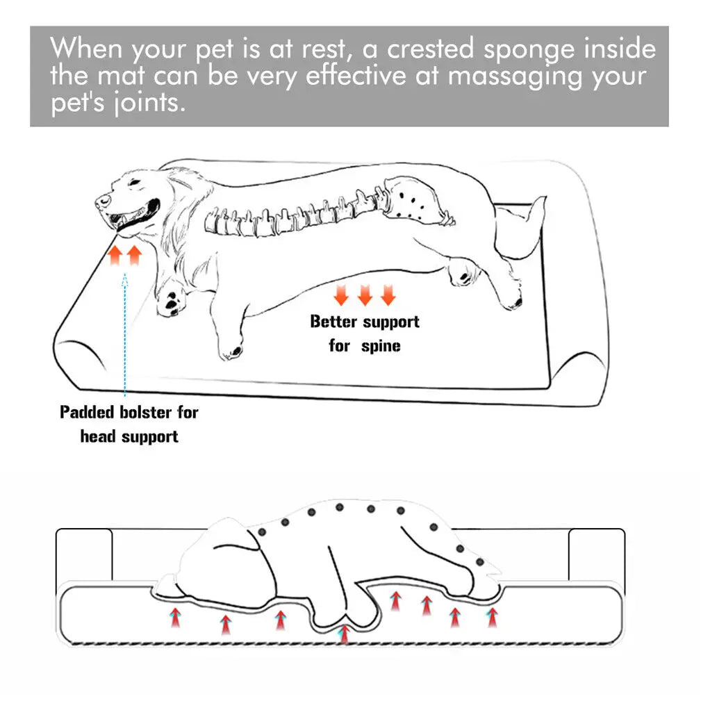 BINGOPAW PremiumPlus Orthopedic Therapeutic Dog Bed With Removable Washable Cover