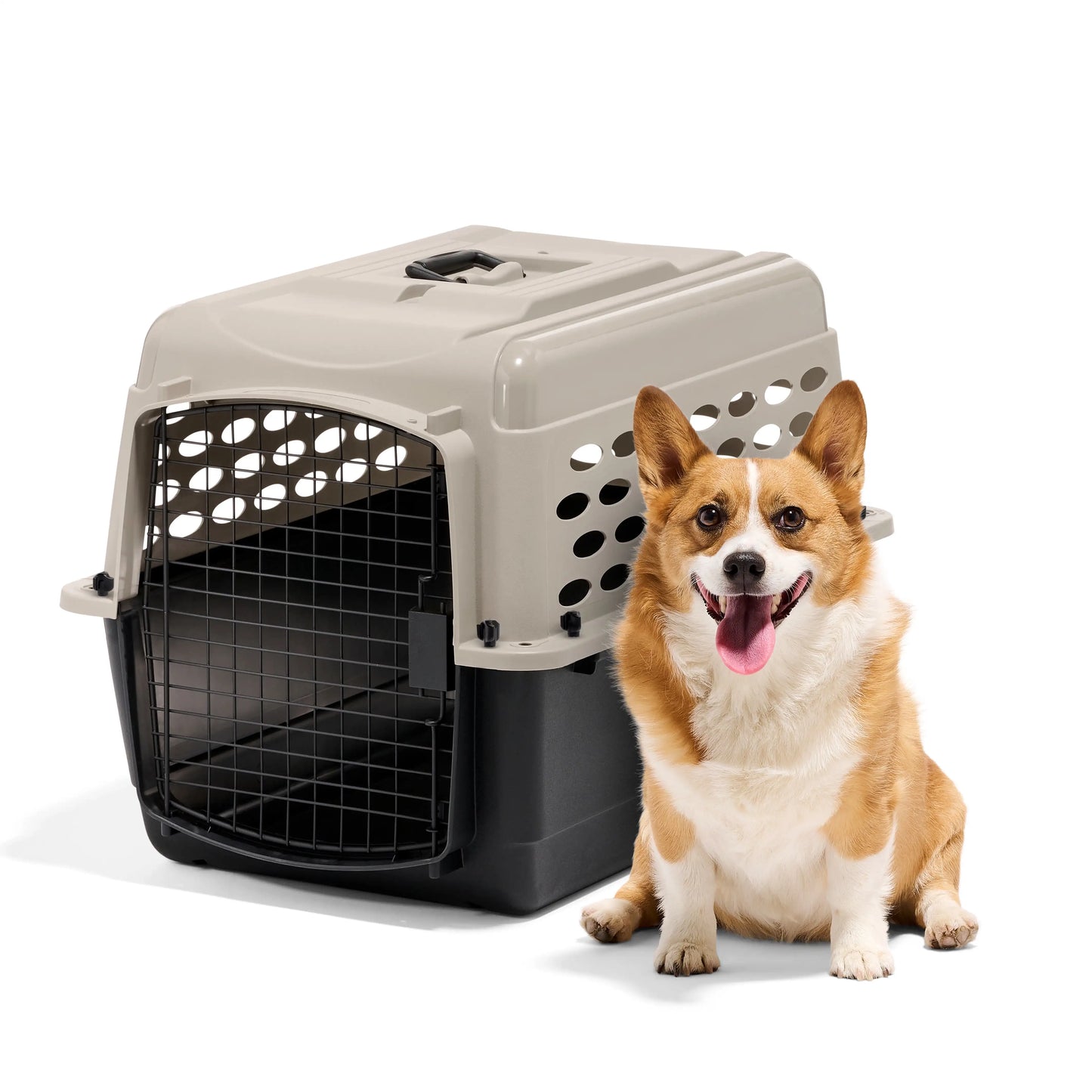 Airline Approved Portable Plastic Dog Kennel Travel Crate