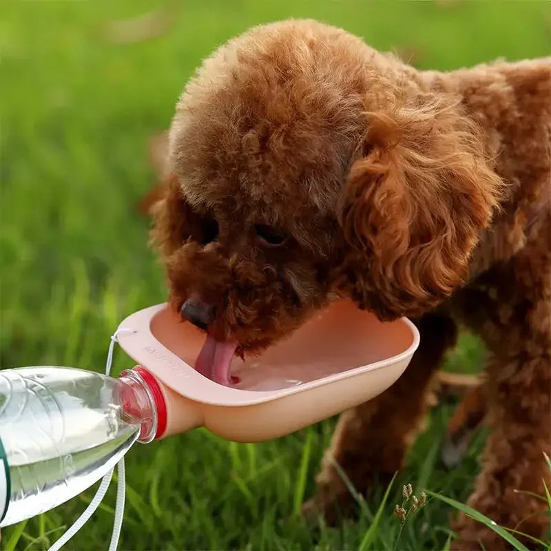Durable Leakproof Dog Travel Water Bottle Portable Hydration Dispenser Outdoorsy