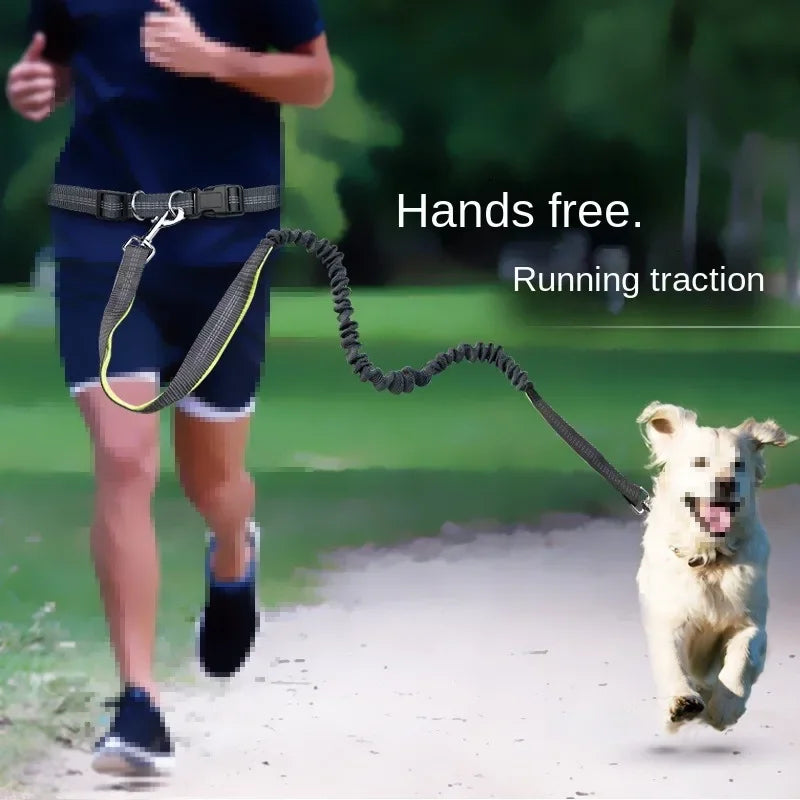 NONECN Adjustable Hands Free Dog Leash Waist Belt for Walking