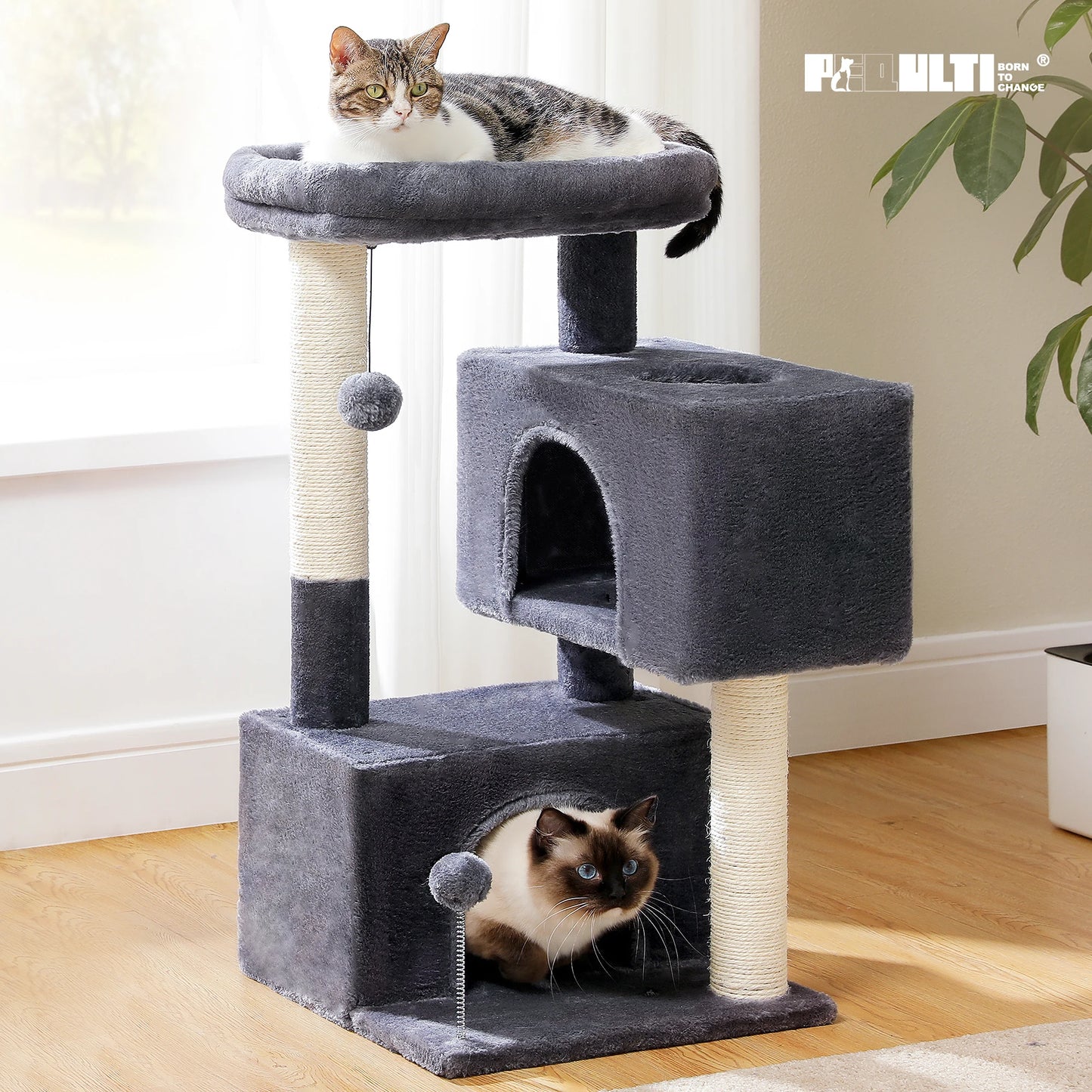 PAWZ Road Indoor Cat Tree Multi Level Tower With Condos