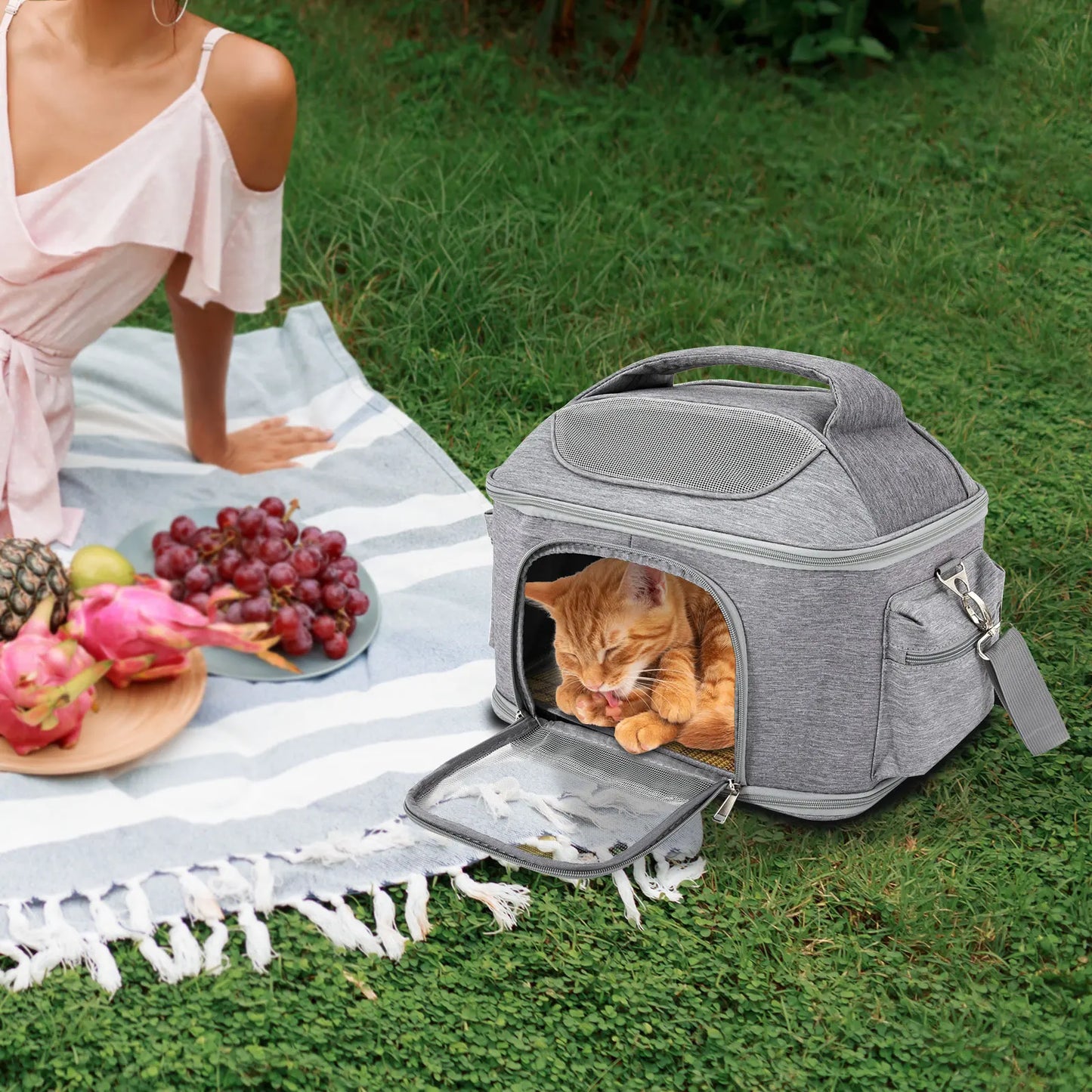 Breathable Portable Pet Backpack Foldable Tote For Dogs And Cats Travel Airlines Approved