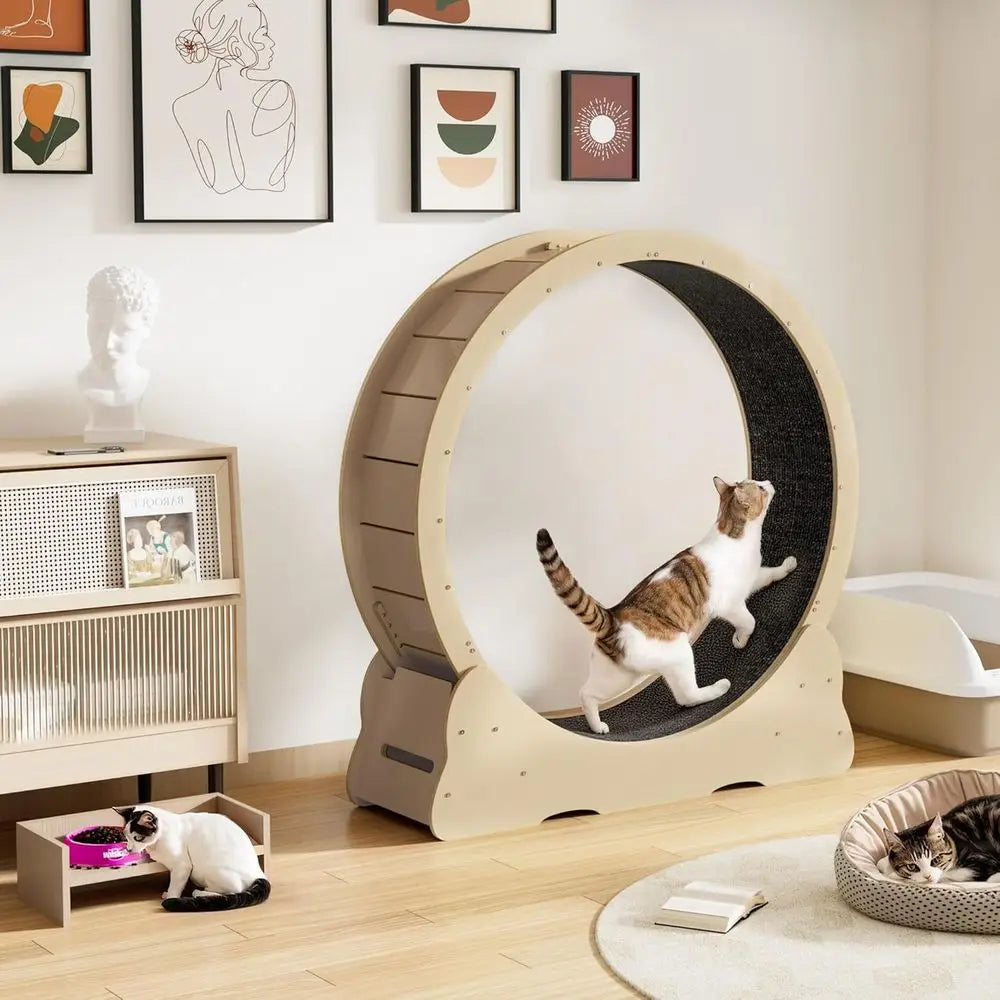 Silent Indoor Cat Exercise Wheel With Removable Carpet