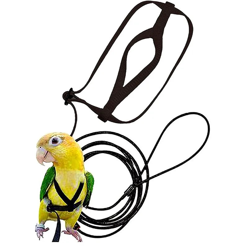Bird Harness Leash for Parrot and Small Birds Training Rope
