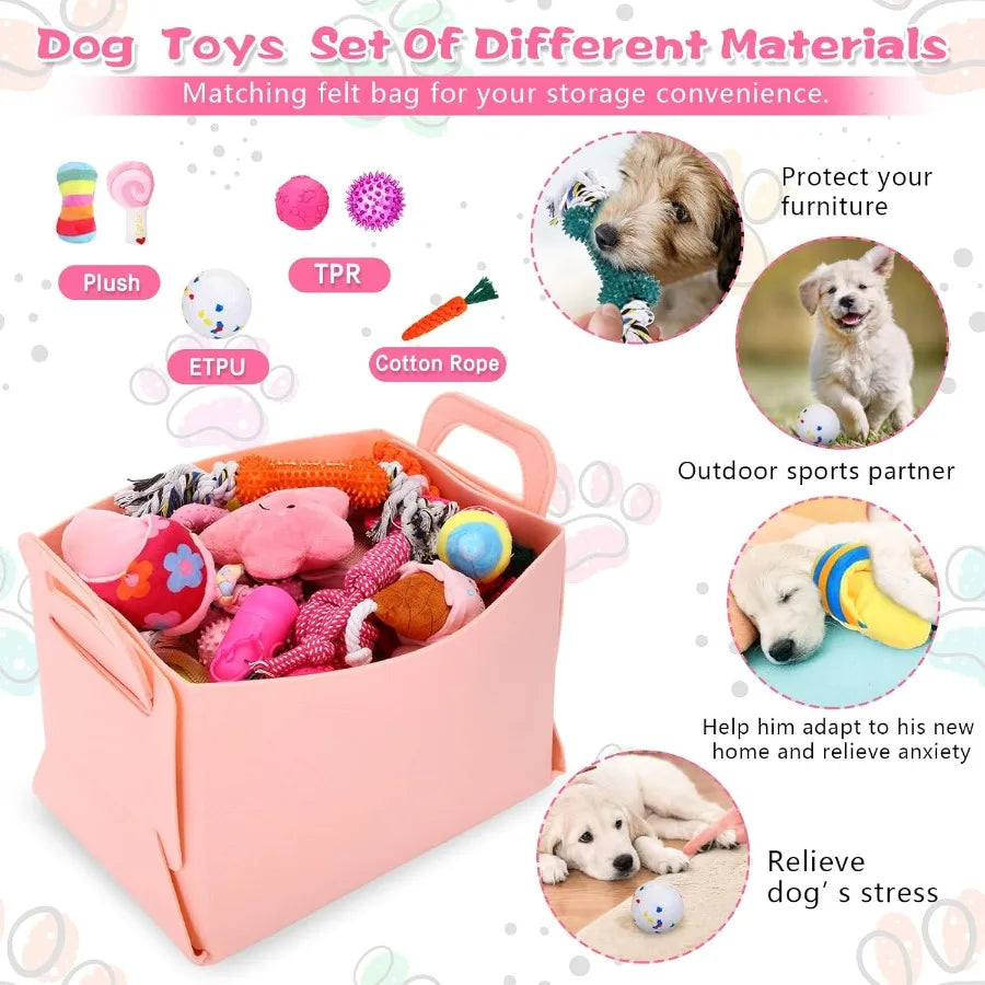 65 Piece Puppy Essentials Starter Kit For Small Dogs