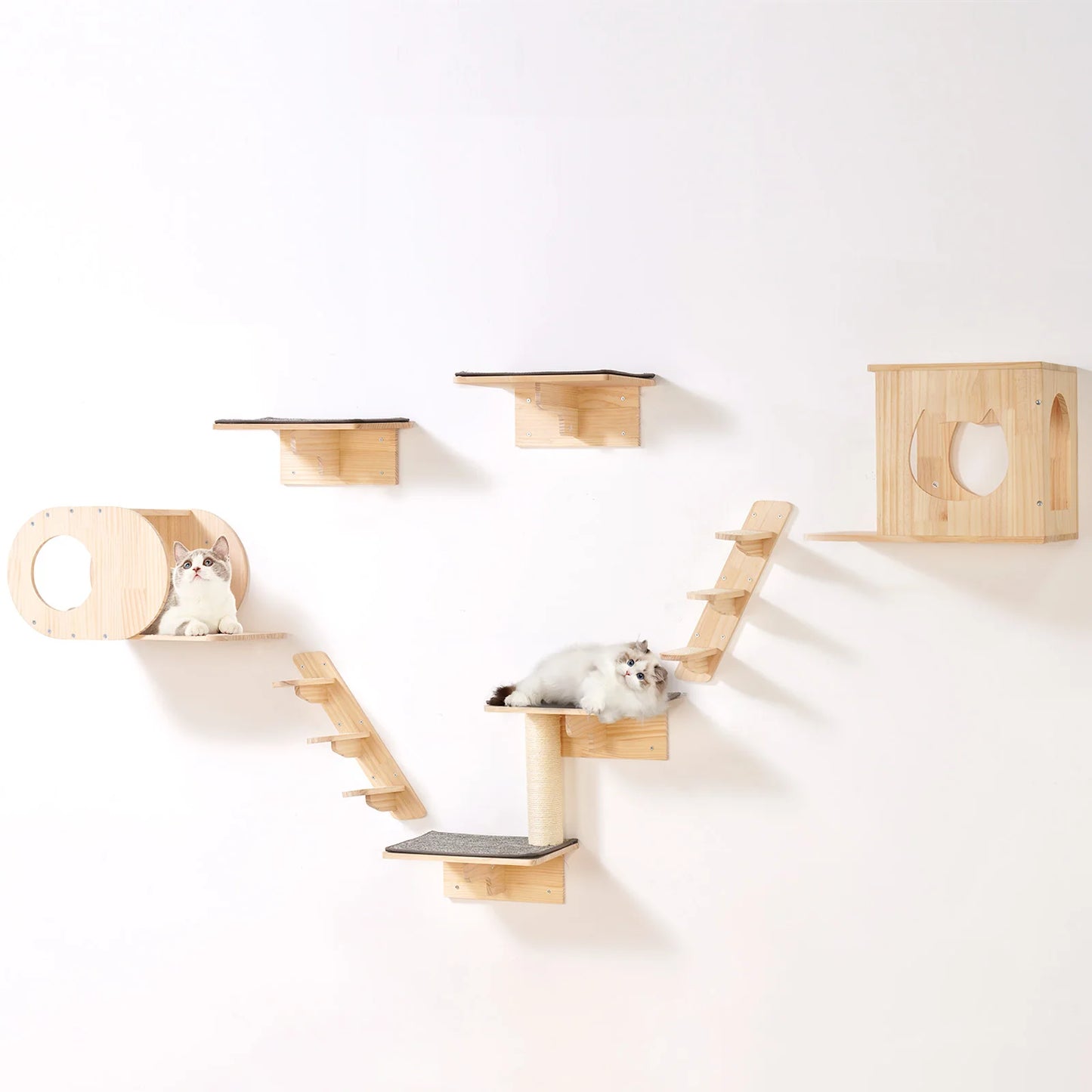 SucceBuy Wall Mounted Cat Shelves and Perches Kit for Cats