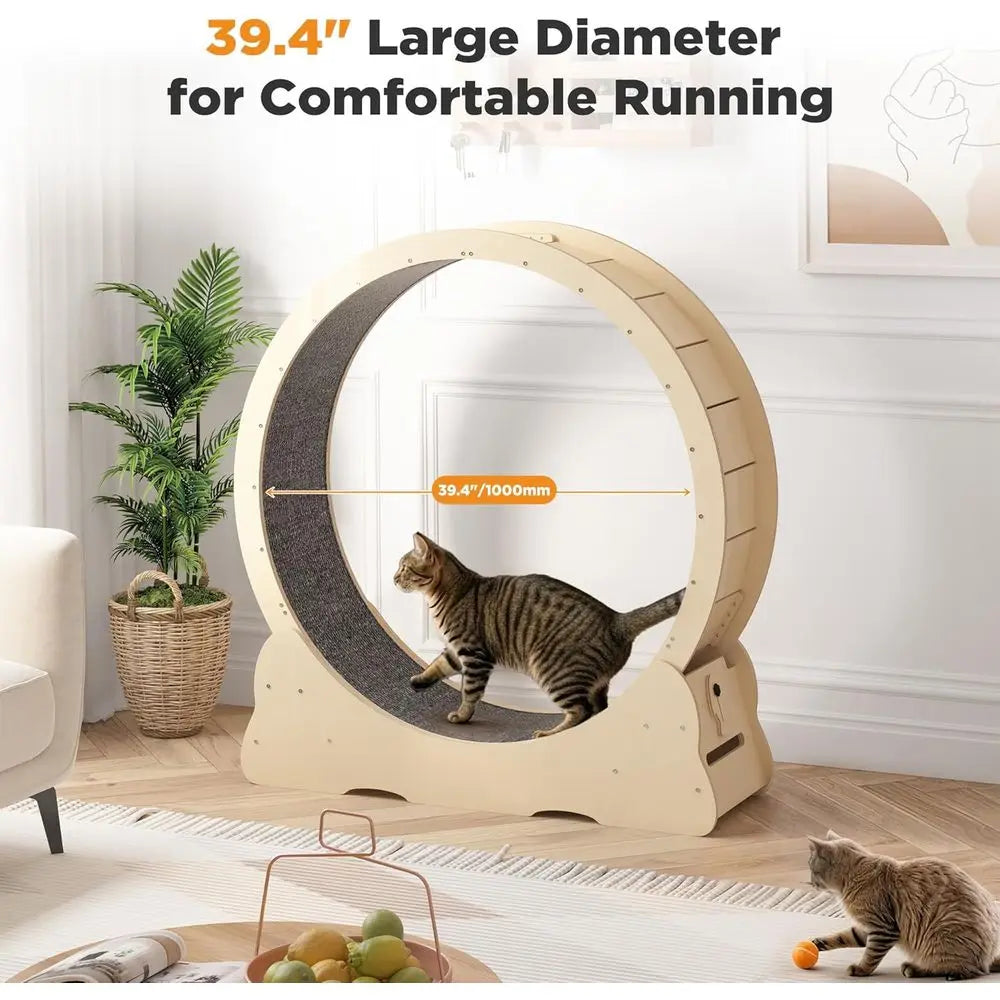 Silent Indoor Cat Exercise Wheel With Removable Carpet