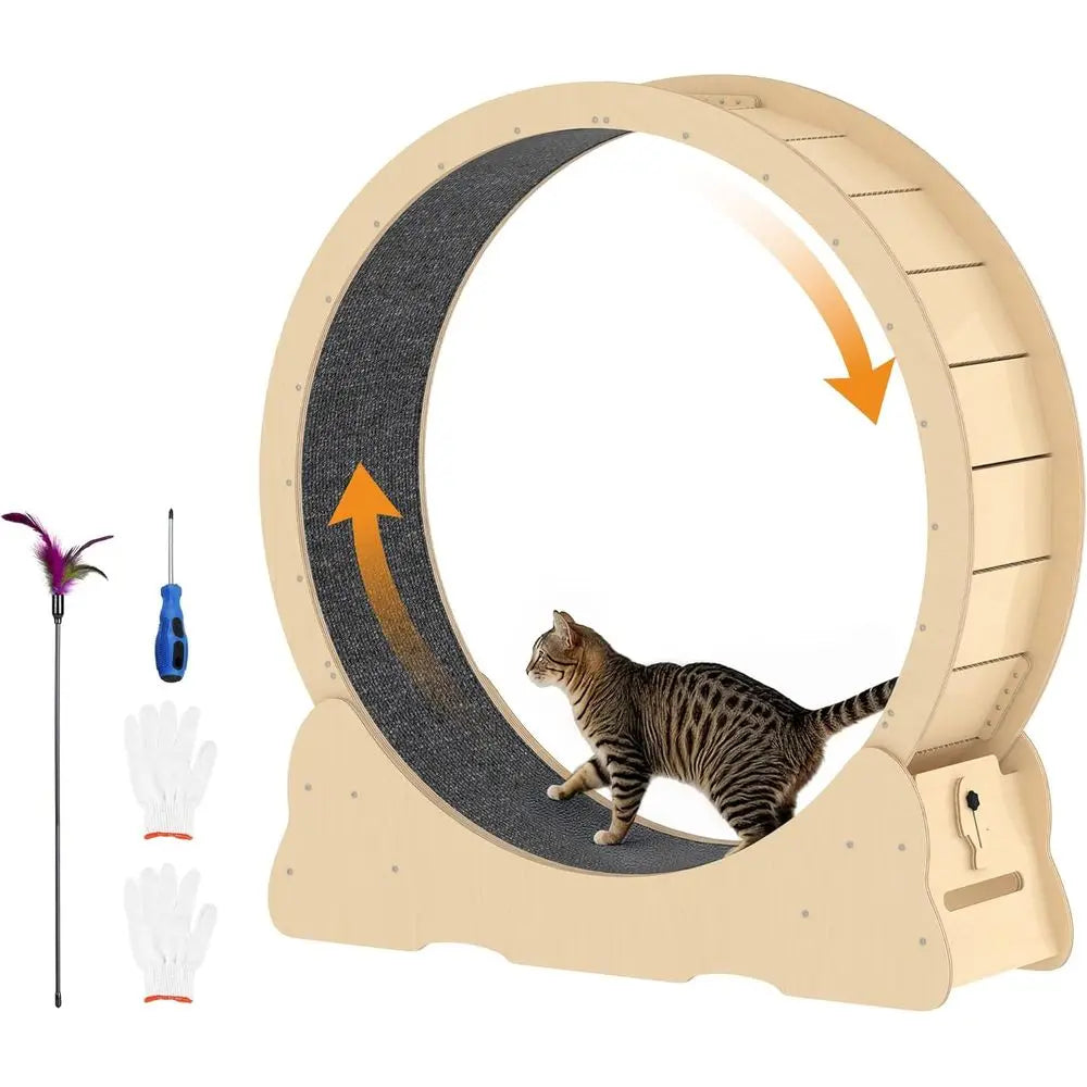 Silent Indoor Cat Exercise Wheel With Removable Carpet