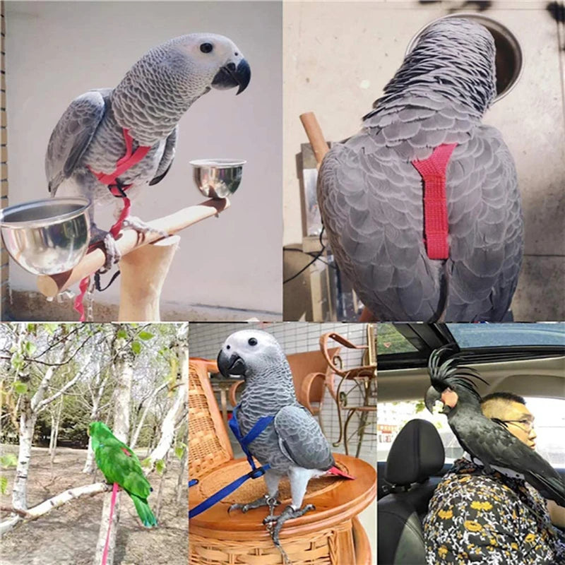 Bird Harness Leash for Parrot and Small Birds Training Rope