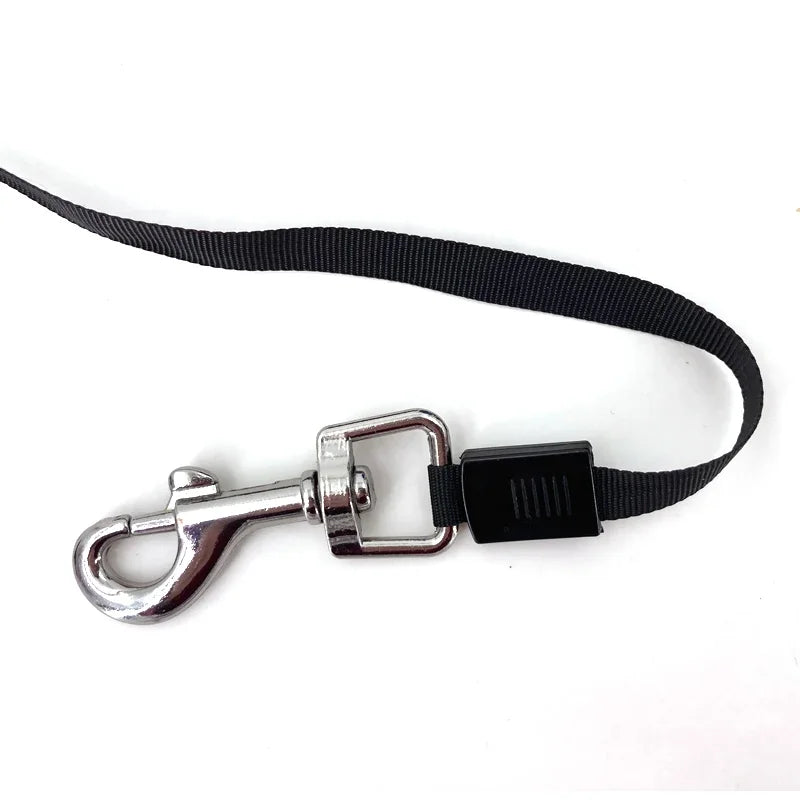 3M Retractable Dog Leash Automatic Flexible Lead For All Dogs