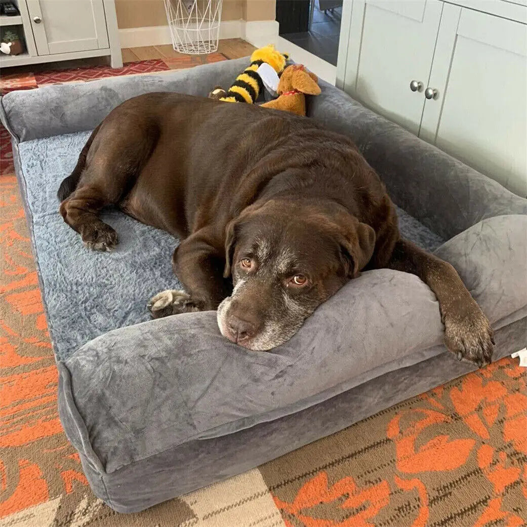 BINGOPAW PremiumPlus Orthopedic Therapeutic Dog Bed With Removable Washable Cover