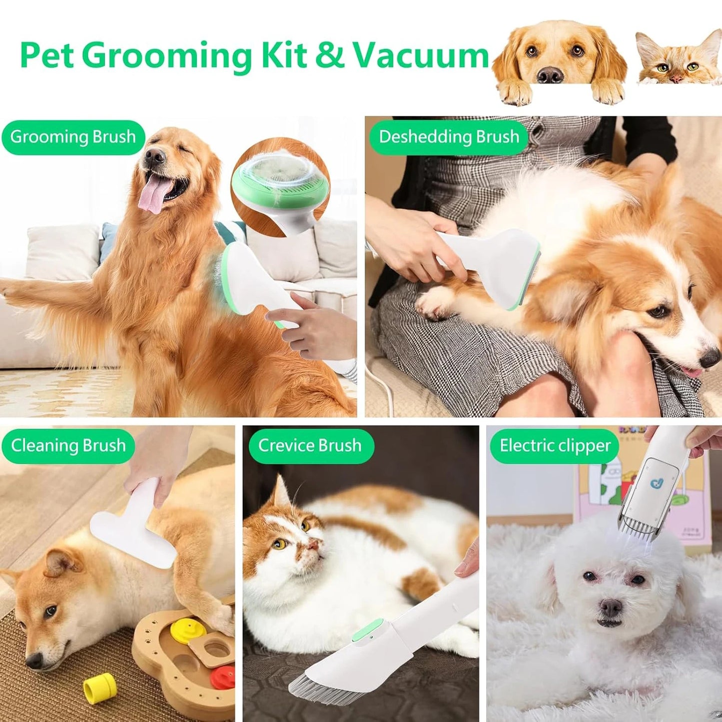 HiMISS Pet Grooming Kit With 2L Vacuum And 5 Tools