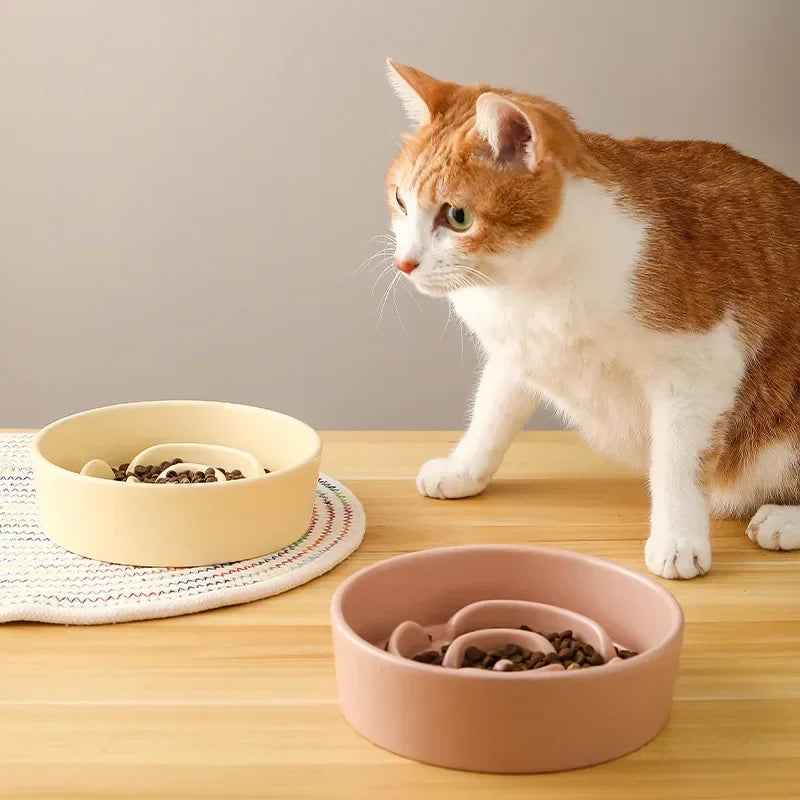 Ceramic Slow Feed Bowl for Cats and Dogs