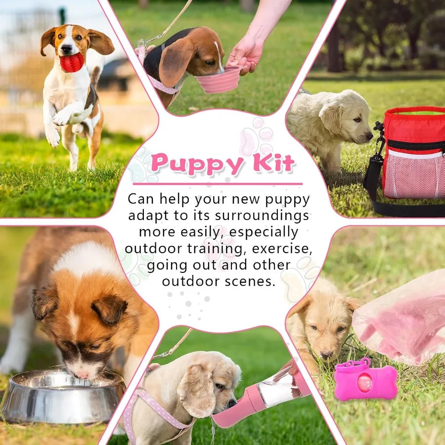 65 Piece Puppy Essentials Starter Kit For Small Dogs
