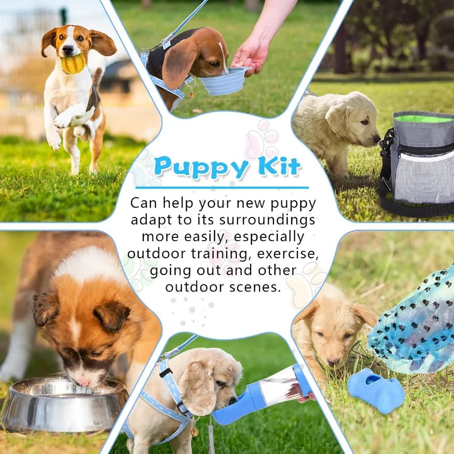 65 Piece Puppy Starter Kit For Small Dogs With Essentials