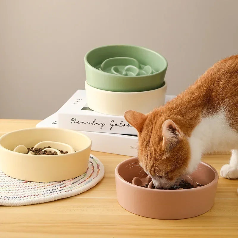 Ceramic Slow Feed Bowl for Cats and Dogs