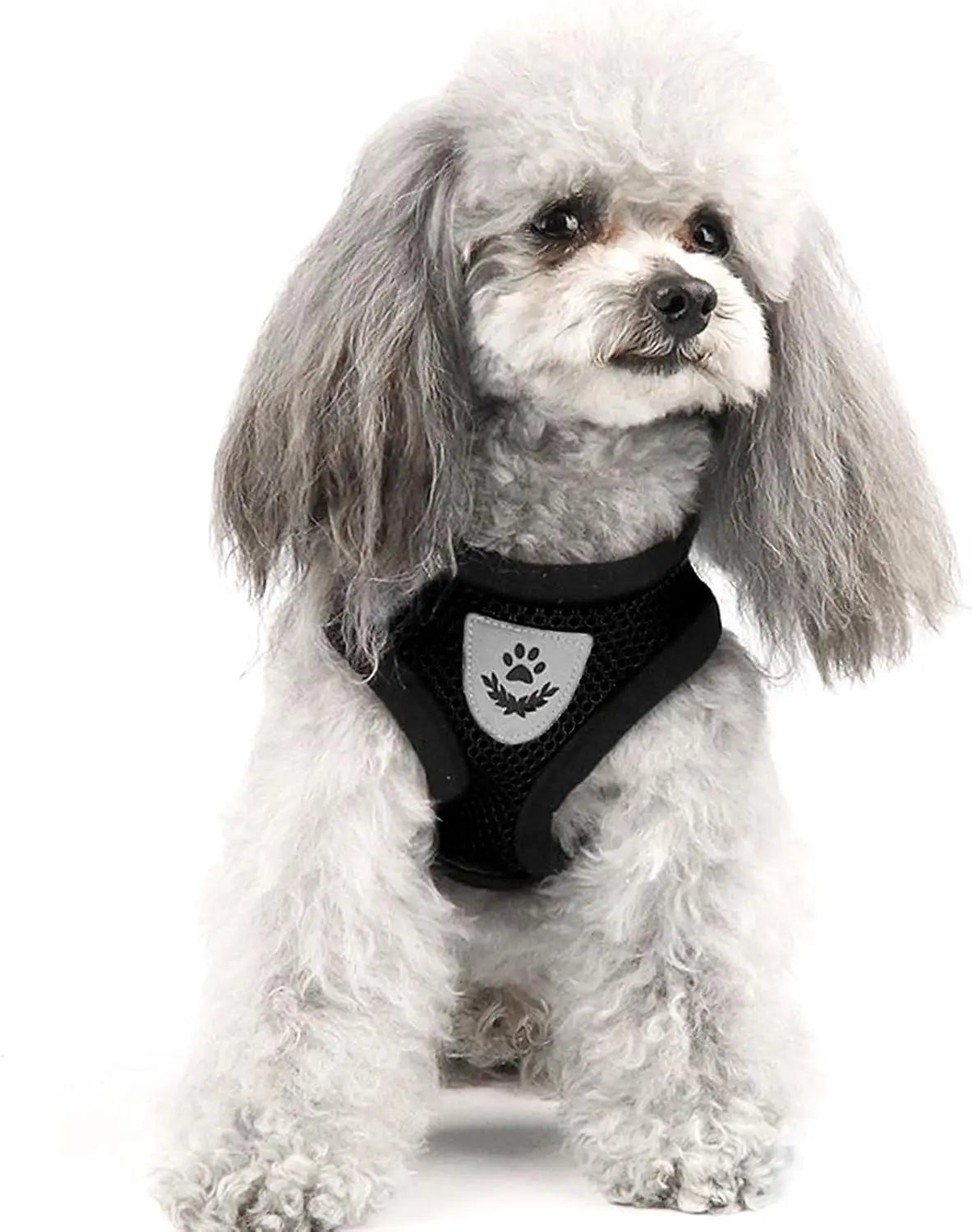 NONECN Cat Chest Harness and Leash Set Summer Mesh Anti Escape Adjustable for All Cats