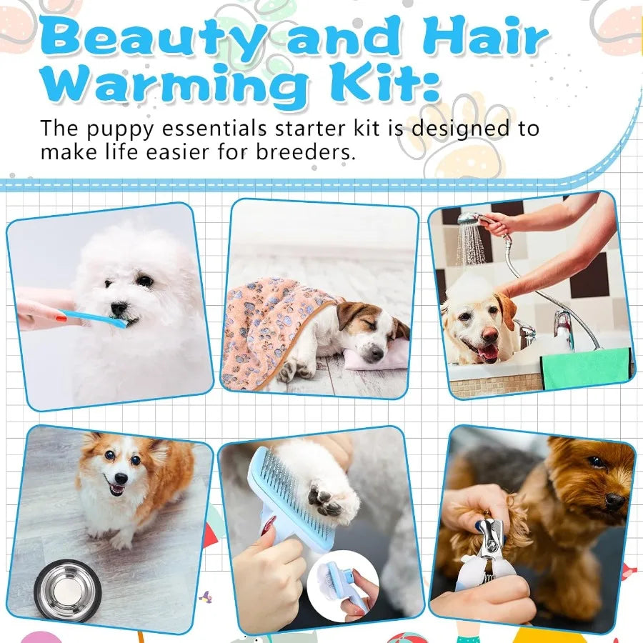 65 Piece Puppy Starter Kit For Small Dogs With Essentials