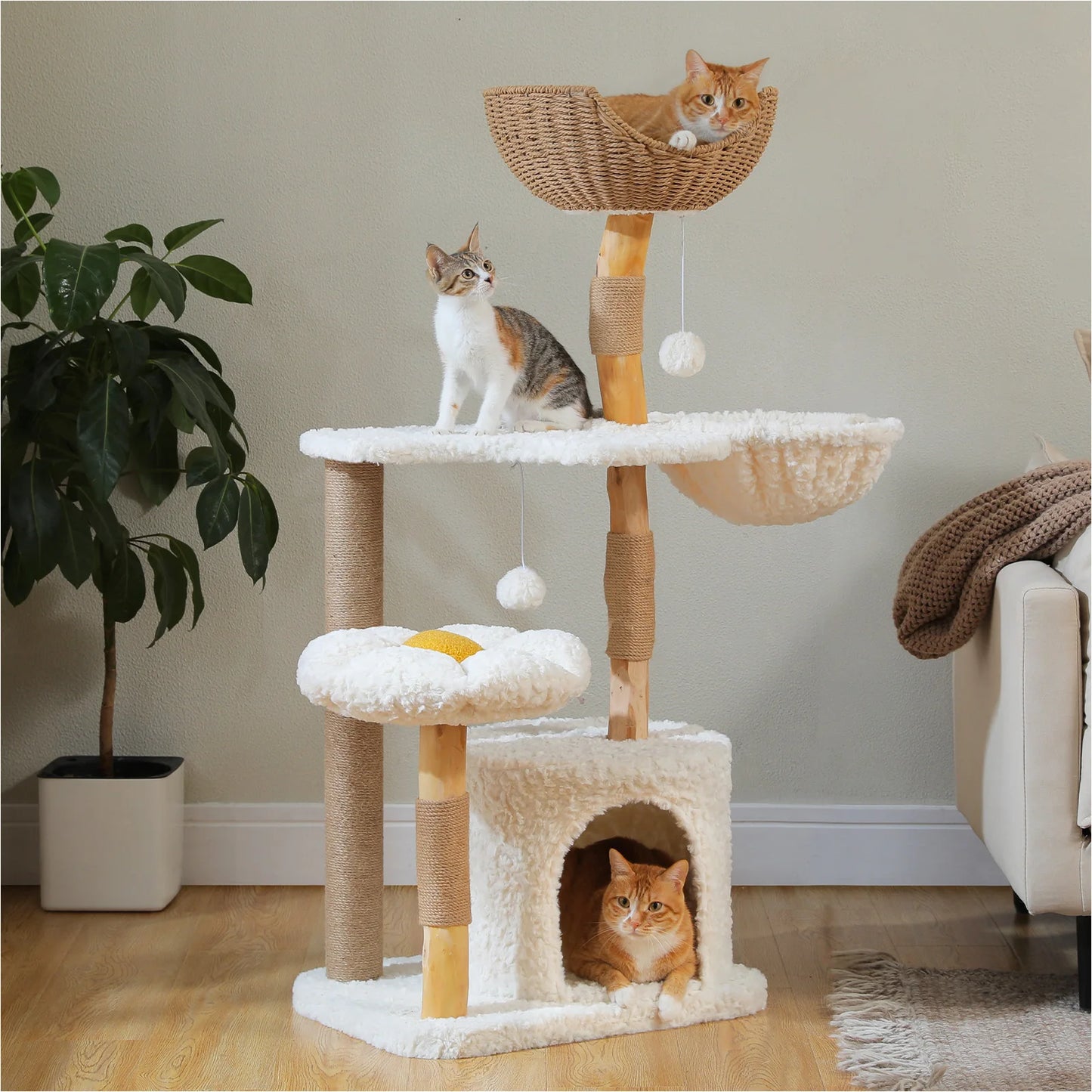 PAWZ Road Modern Solid Wood Cat Tree Tower Four Tier With Luxury Condo Hammock And Scratching Post