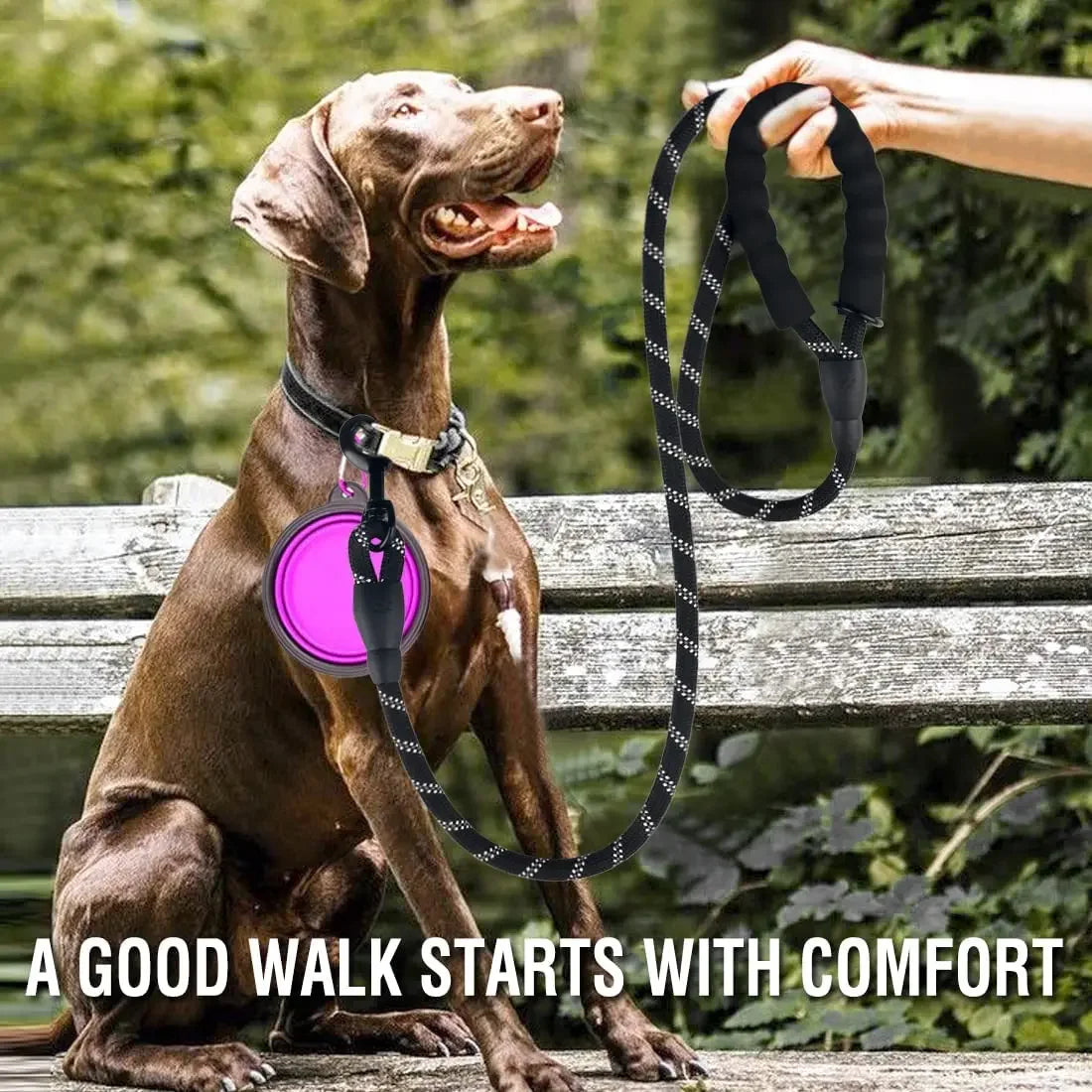 Strong Reflective Nylon Dog Leash For All Breeds