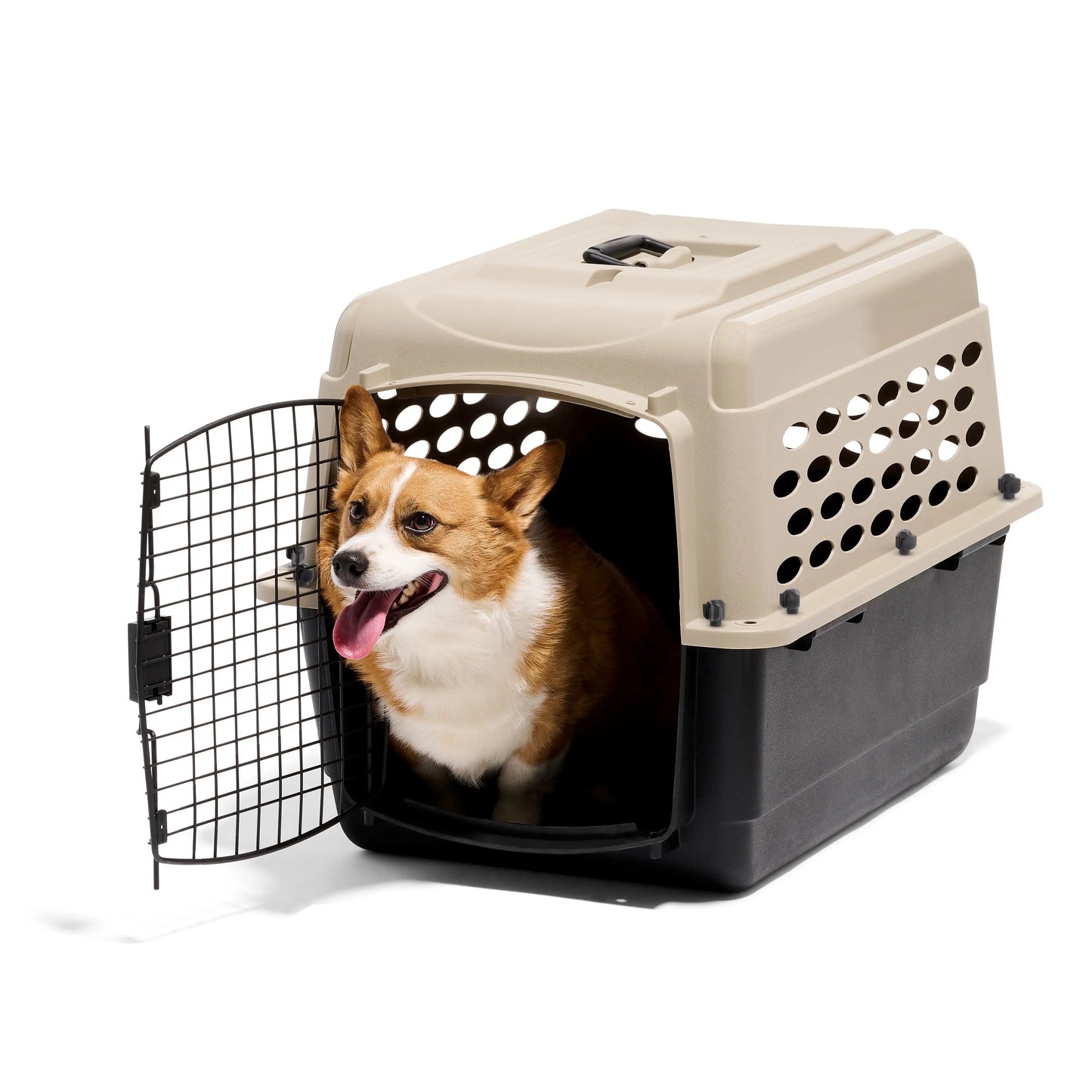 Airline Approved Portable Plastic Dog Kennel Travel Crate