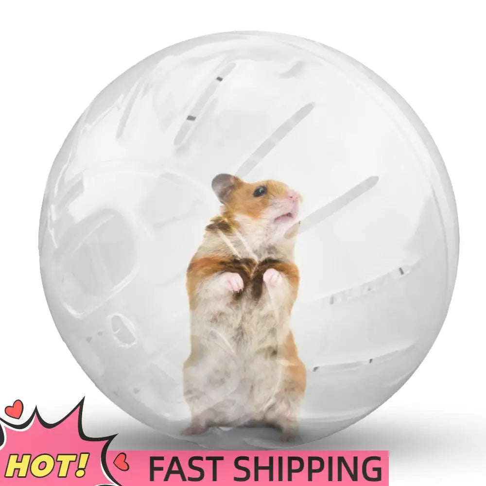 APWIKOGER Mini Hamster Gerbil Running Ball Exercise Toy