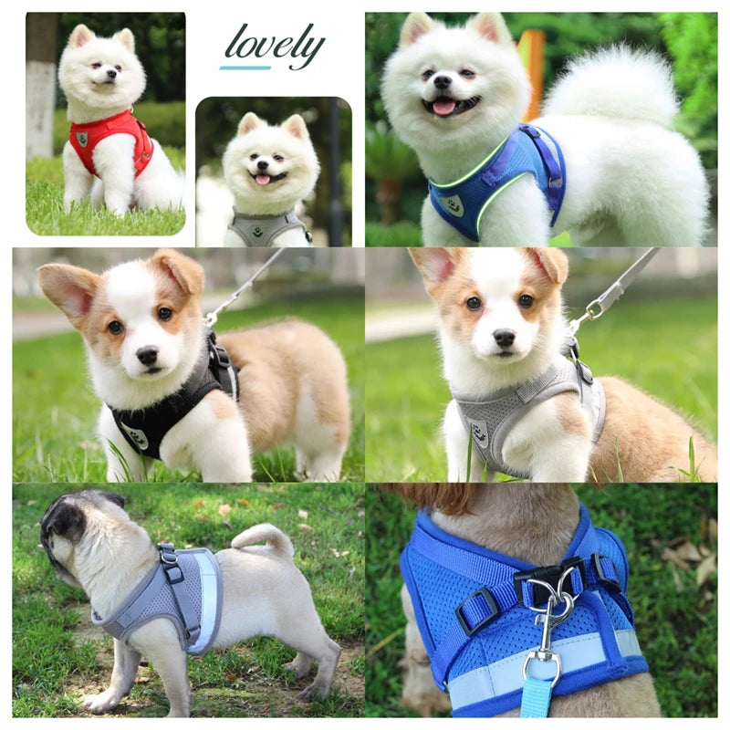 YTYINCN Adjustable Dog And Cat Harness And Leash Set Vest Harness For Pets With Reflective Straps