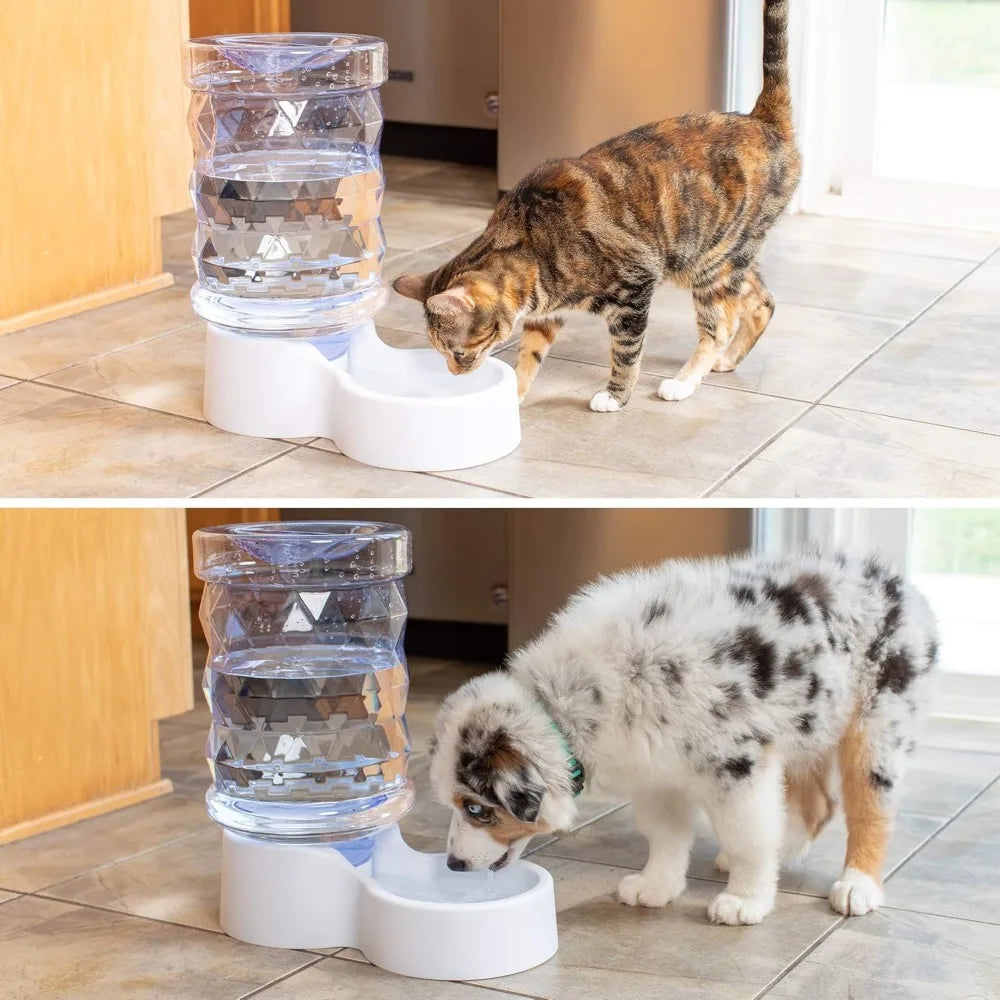 Automatic Pet Water Dispenser and Gravity Feeder for Cats and Dogs Durable Design